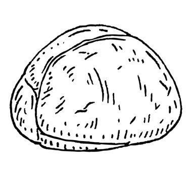 Kabuksuz Kola fındığı. Vector gravür siyah vintage illüstrasyon. Beyaz arkaplanda izole.