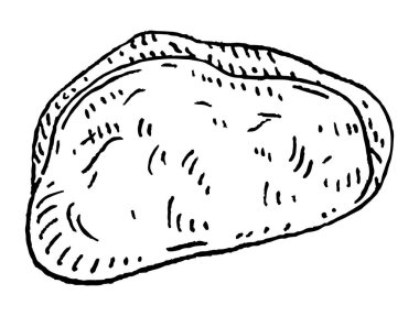 Kabuksuz Kola fındığı. Vector gravür siyah vintage illüstrasyon. Beyaz arkaplanda izole.