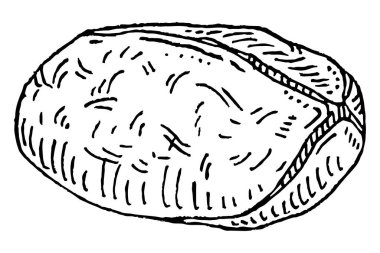 Kabuksuz kurutulmuş kola fındığı. Vector gravür siyah vintage illüstrasyon. Beyaz arkaplanda izole.