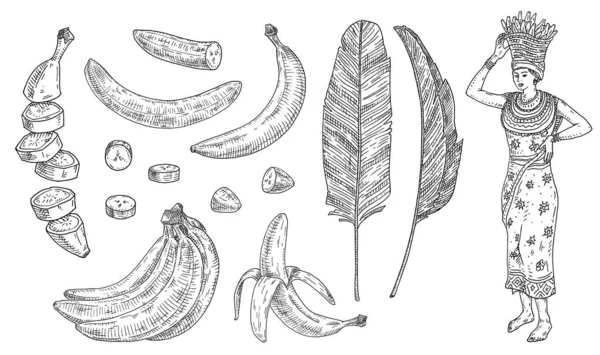 바나나와 합니다 껍질을 벗기고 껍질을 과일들 입니다 아프리카 여자는 나뭇가지 — 스톡 벡터