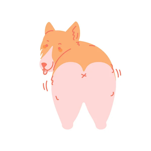 Doodle Corgi Dog Cute Welsh Corgi Vector Cartoon Illustration White — 스톡 벡터