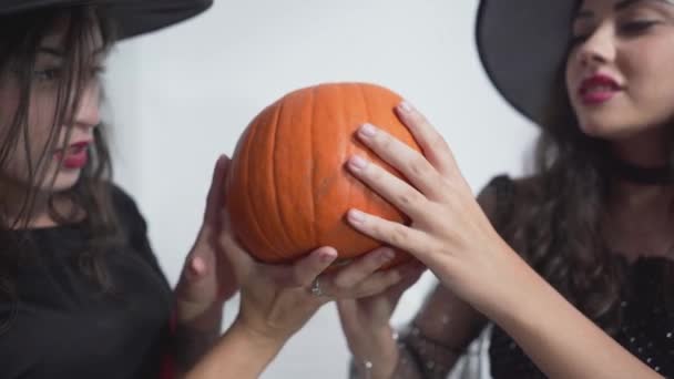 Chicas jóvenes en traje de bruja sosteniendo y frotando calabaza durante Halloween. - de cerca — Vídeo de stock