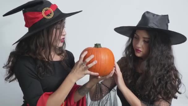 Великолепные подружки в костюмах колпаков на Хэллоуин, держащие и чувствующие гладкую текстуру апельсиновой тыквы. средний выстрел — стоковое видео
