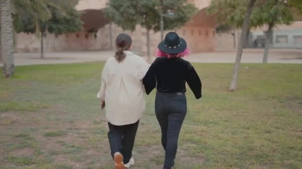 Rear tracking view of two stylish girls wandering around a park holding hands — Vídeos de Stock