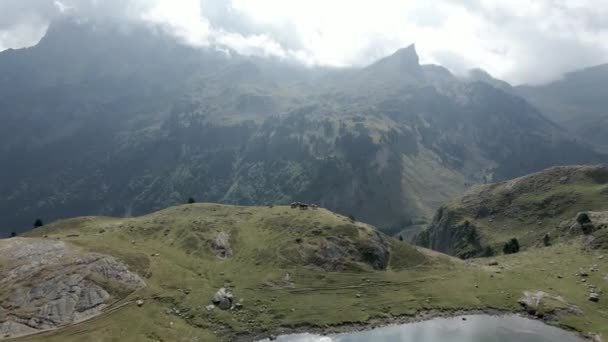 Güneşli bir günde, Fransa 'nın Pireneler bölgesinde Ayous Gölü boyunca otlayan bir grup atın hava manzarası.. — Stok video