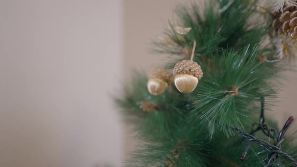 Pendaison d'ornement de maïs dans un arbre de Noël. Gros plan — Video