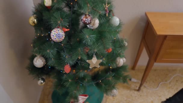 Woman Brings A Box Of Glittery Christmas Ornaments For Hanging On The Christmas Tree. rack focus — Stock Video
