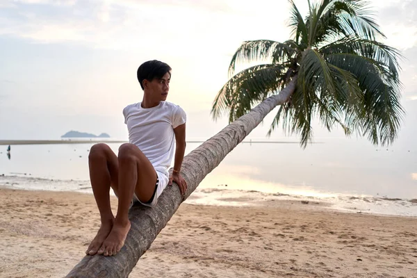 Asian man sitting on the trunk of a palm tree of a tropical beach during sunset — Stock Fotó