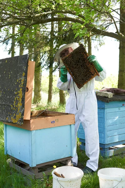 Vertical Photo Beekeeper Protective Gear Working Farm — ストック写真