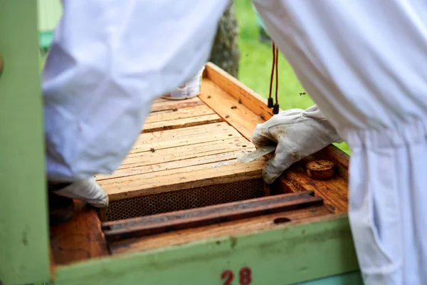 Hands Beekeeper Checking Shelter Beehive Farm — ストック写真