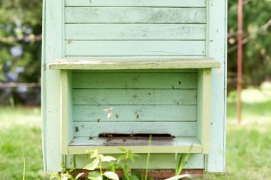 Çiftlikteki yapay bir arı kovanındaki arıların fotoğrafını kapat.