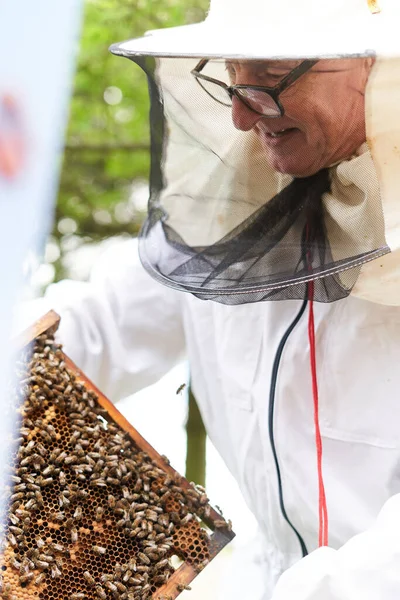 Cropped Vertical Photo Beekeeper Working Panel Bee Hive Garden — ストック写真