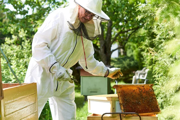 Beekeeper Protective Clothes Working Beehives Farm — ストック写真