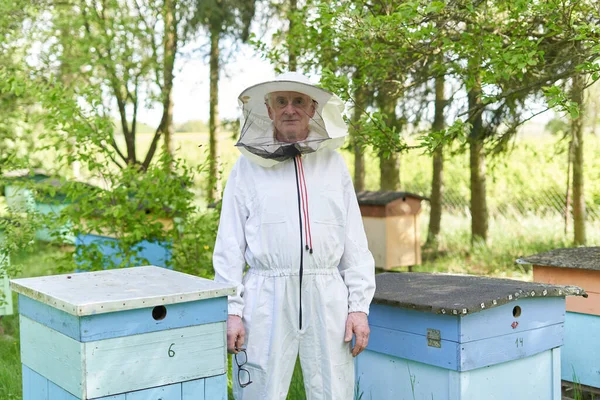 Portrait Aged Beekeeper Looking Camera While Standing Next Beehives — Stockfoto