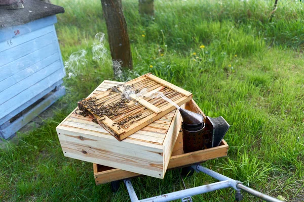 Traditional Smoke Canister Scare Bees Wheelbarrow Honey Production Farm — Stockfoto