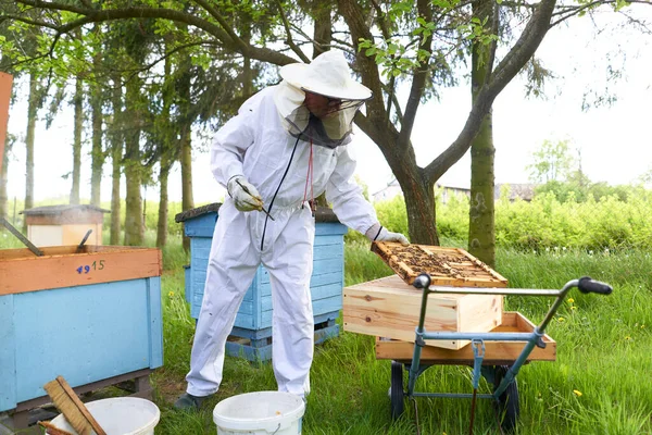 Pszczelarz Noszący Odzież Ochronną Pracujący Ogrodzie Gospodarstwa — Zdjęcie stockowe