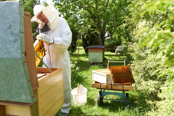 Pszczelarz Usuwający Miód Panelu Sztucznego Ula Farmie — Zdjęcie stockowe