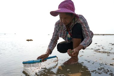 Ko Phangan, Tayland, 15 Mart 2022: Yaşlı kadın denizlerde istiridye arıyor.