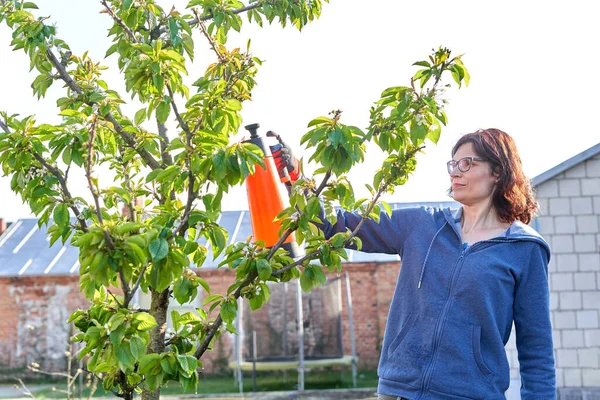 Caucasian woman applying fertilizer to a tree in a vegetable home garden