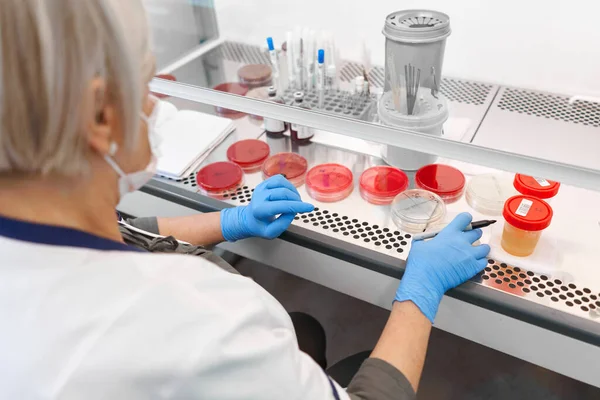 Eine Laborantin Organisiert Proben Der Zellkultivierung Einem Krankenhaus Stockbild