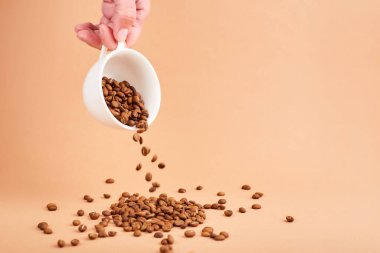 Kahve fincanındaki kahve çekirdekleri pastel arka planda. Boşluk metni