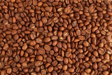 Kahve Fasulyesi 'nin geçmişi. Uzayı kopyala Üst görünüm