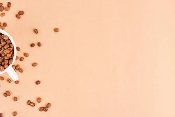 Kávébab Kávéscsészében Pasztell Háttérrel Szóköz Szövege — Stock Fotó