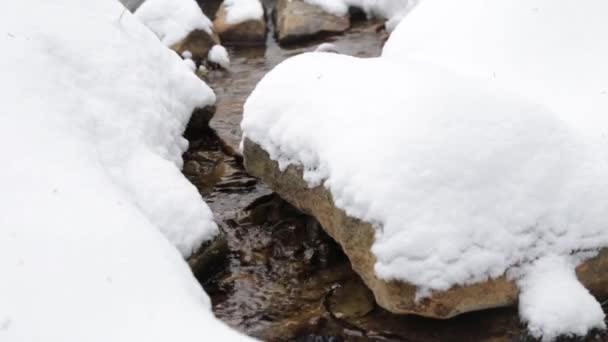 Pequeno Riacho Montanha Floresta Winter Mountain Stream Mountain River Estilo — Vídeo de Stock
