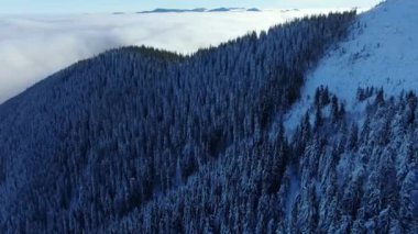 Drone kış dağlarında sis denizinin üzerinde uçar. Karda güneşli bir gün Karpatlar 'ı kapladı. Gökyüzündeki bulutlar