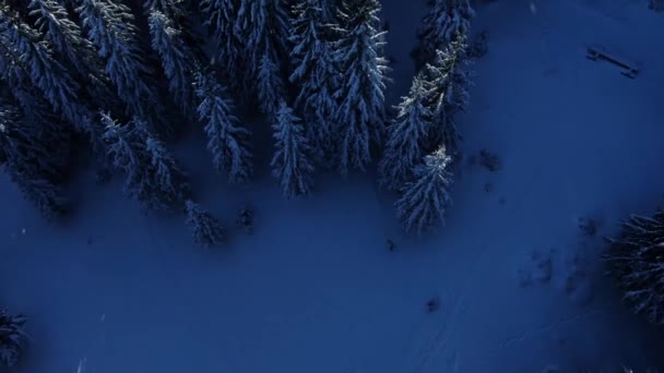 Drone Vuela Sobre Mar Niebla Las Montañas Invierno Día Soleado — Vídeo de stock