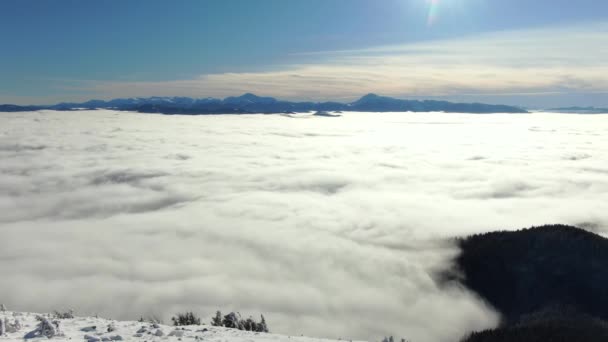 Drohne Fliegt Über Nebelmeer Winterbergen Sonniger Tag Den Schneebedeckten Karpaten — Stockvideo