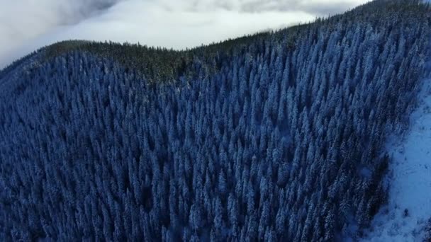 Dron Létá Nad Mořem Mlhy Zimních Horách Slunečný Den Sněhu — Stock video