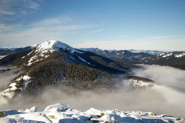 Sea Fog Winter Mountains Sunny Day Snow Covered Carpathian Mountains — Stockfoto