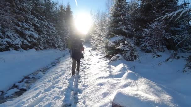 Senderismo Las Montañas Invierno Día Soleado Cárpatos Borzhava — Vídeo de stock