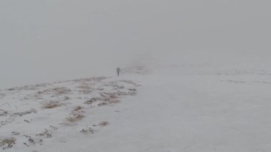 Woman in winter mountains. Blizzard. Poor visibility. Carpathians. Borzhava.