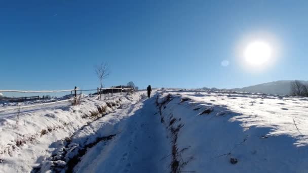 Hiking Winter Mountains Sunny Day Carpathians Borzhava — Stockvideo