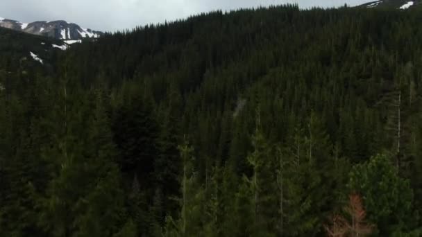 Aerial View Forest Moutains River Rocks Spring Moutains Carpathian Mountains — Vídeo de Stock