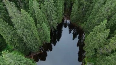 Aerial  view of Arshytsia moutain lake in Carpathian mountains. Gorgany.