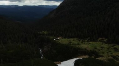 Mountain river in the woods. Carpathian mountains. Chornohora. Shpytsi.