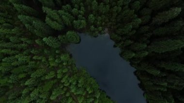 Ormanın ve dağların bulutların arasından çekilmiş Dron görüntüleri. Karpat Dağları. Gorgany. 