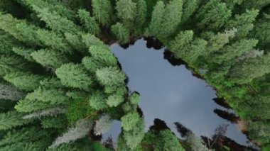 Ormanın ve dağların bulutların arasından çekilmiş Dron görüntüleri. Karpat Dağları. Gorgany. 