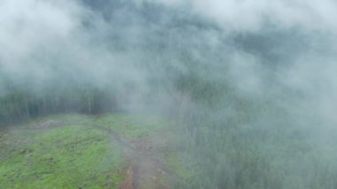 Ormanın ve dağların bulutların arasından çekilmiş Dron görüntüleri. Karpat Dağları. Gorgany. 