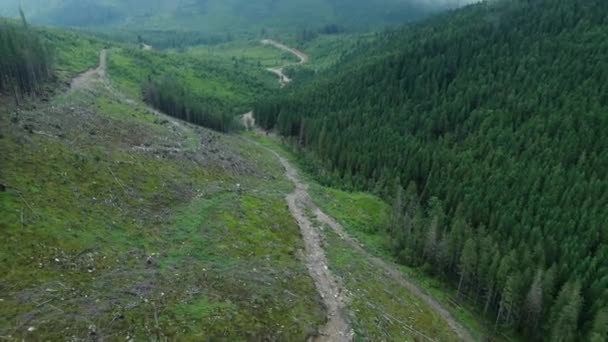 Dronenschuss Der Wälder Und Berge Durch Die Wolken Karpaten Gorganie — Stockvideo