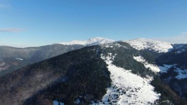 Karlı dağlardaki kış ormanının insansız hava aracı görüntüsü. Karpatlar. Ukrayna. Petros.