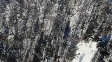 Karlı dağlardaki kış ormanının insansız hava aracı görüntüsü. Karpatlar. Ukrayna. Petros.