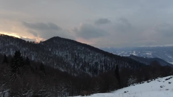 Вид Беспилотника Зимний Лес Снежных Горах Карпаты Украина Петрос — стоковое видео