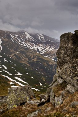 Baharda Ukrayna Karpatları 'nın güzel manzarası. Chornohora manzarası. Ukrayna 'da Barış
