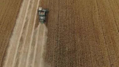 Ukrayna sahasında havadan çekilen görüntüler. Buğday tarlasında çalışan hasat makineleri. Tarım makinesini birleştirip altın olgun buğday tarlasını hasat edin..