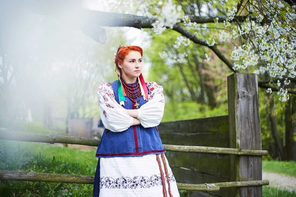 우크라이나 의상을 전통적 소녀에게 먹이는 근처에 우크라 이나의 — 스톡 사진