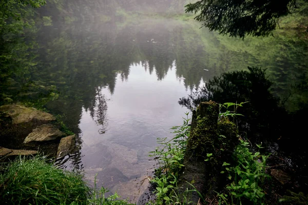 Krásná Ukrajinská Povaha Lesní Jezero Obklopené Borovicemi Během Deštivého Dne — Stock fotografie